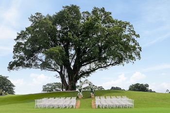 the belgrove resort and spa west palm beach autograph collection