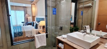 radiant globus hotel