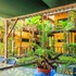 hotel la casa de las flores cahuita
