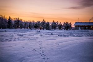 elves village hotel