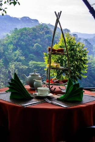 the tea cottage resort and spa