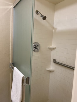 royal pacific motor inn