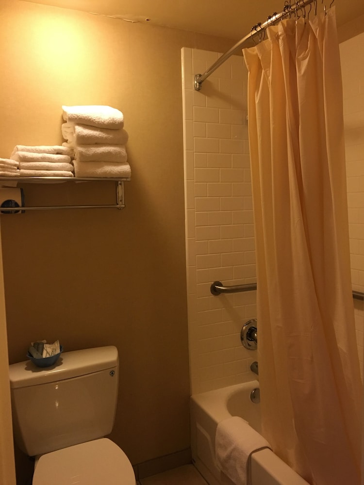 royal pacific motor inn