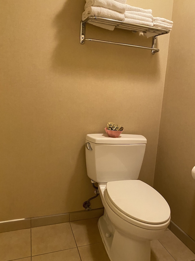 royal pacific motor inn