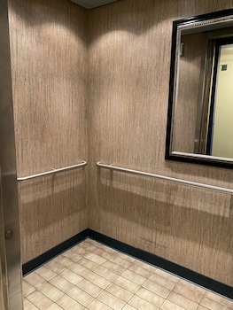 royal pacific motor inn