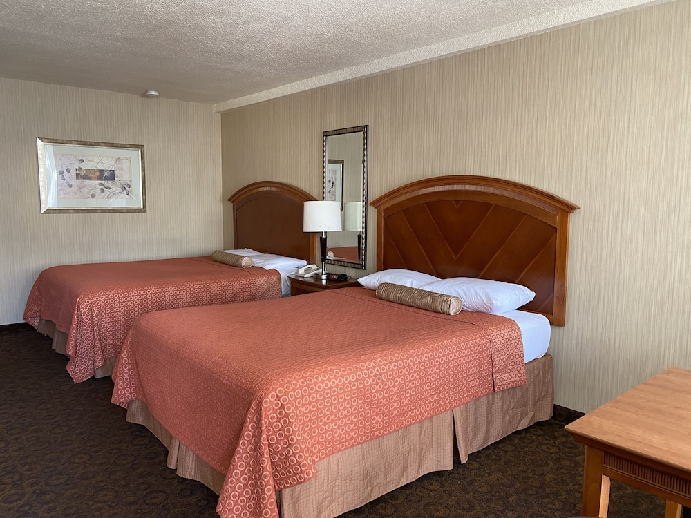 royal pacific motor inn