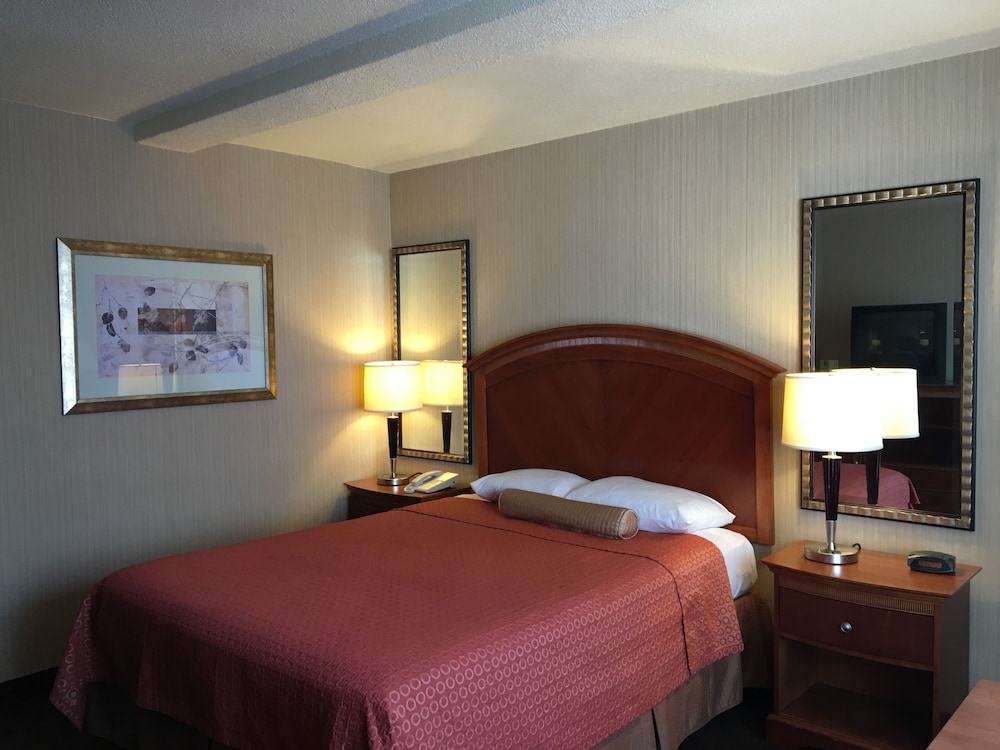 royal pacific motor inn