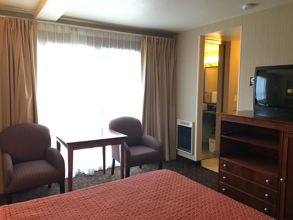 royal pacific motor inn