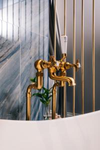 ms collection aveiro palacete valdemouro