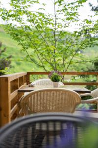 montana suite bungalow