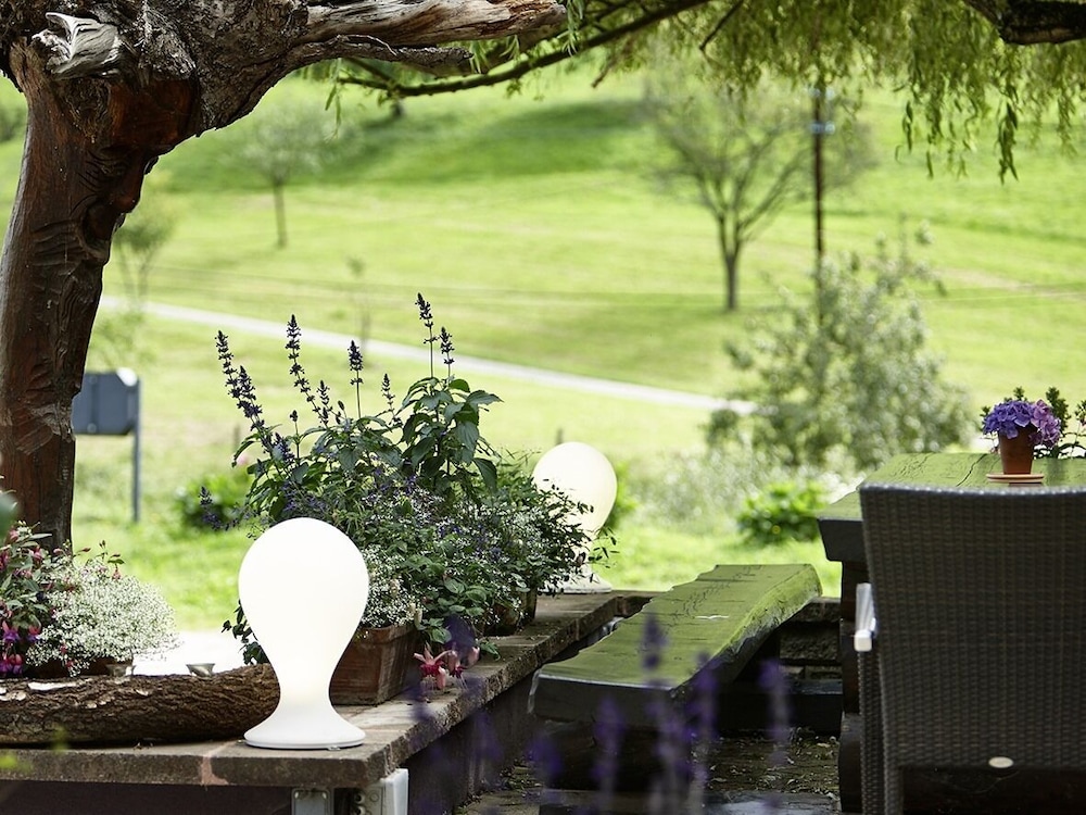hostellerie les bagenelles