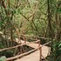 dibulla