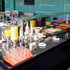 ibis styles barretos