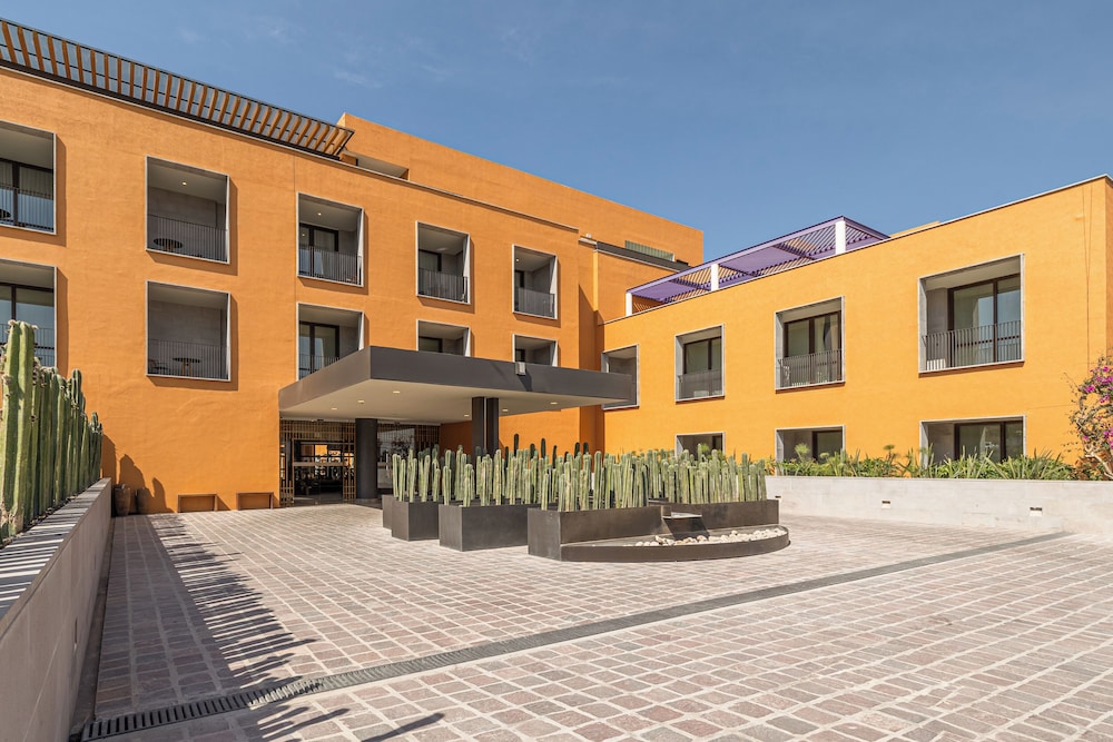 clevia san miguel de allende autograph collection