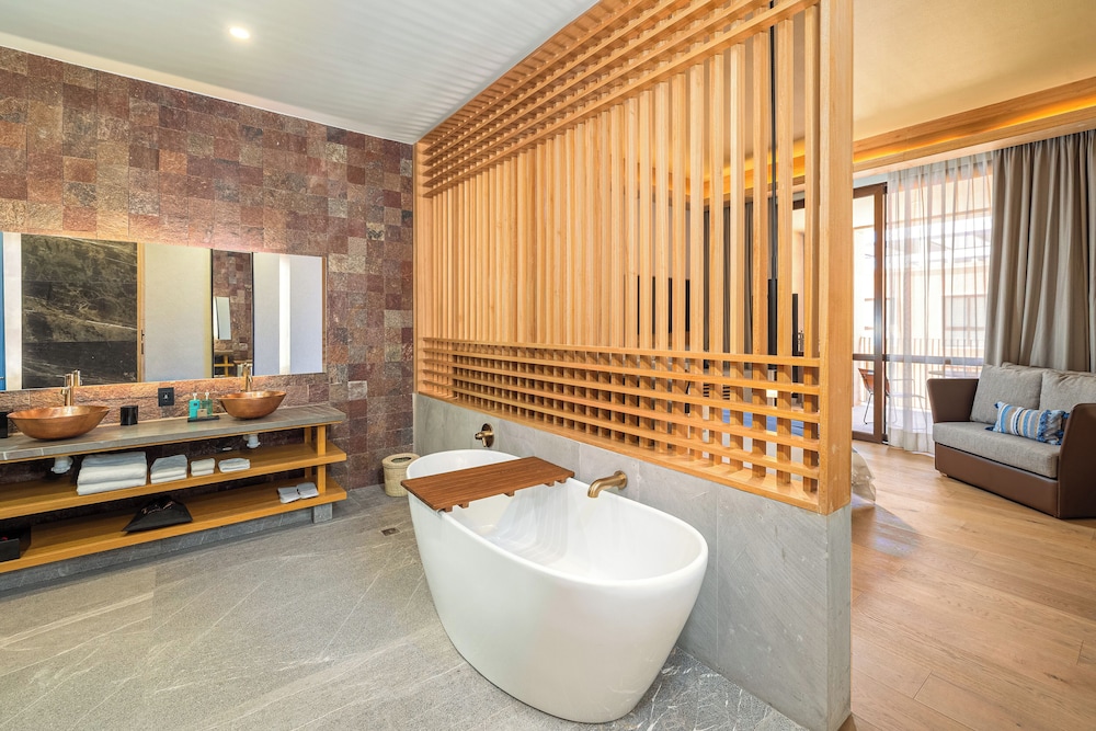 clevia san miguel de allende autograph collection