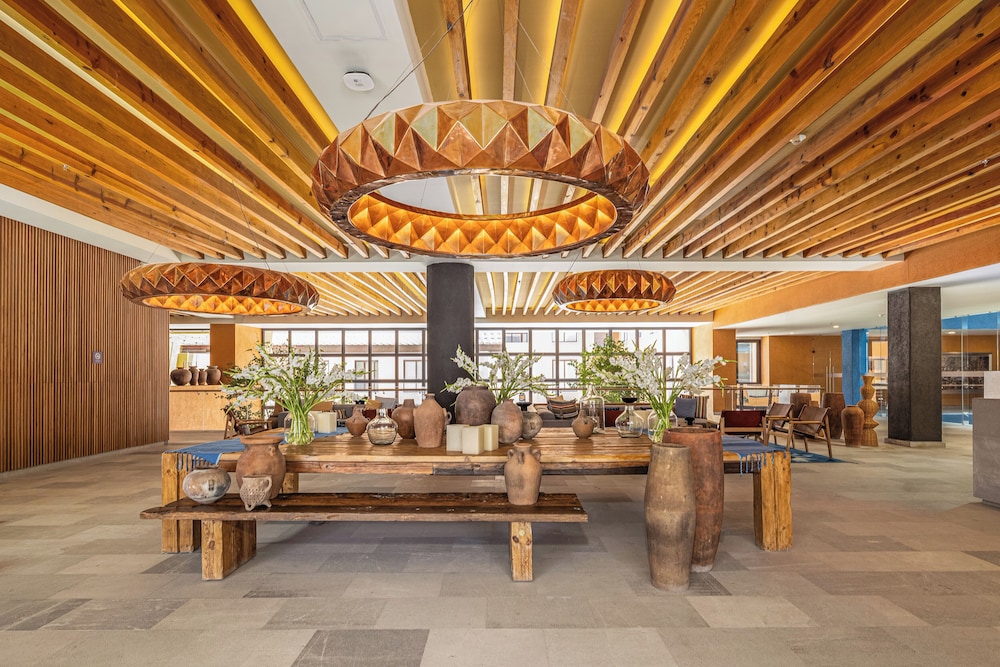 clevia san miguel de allende autograph collection