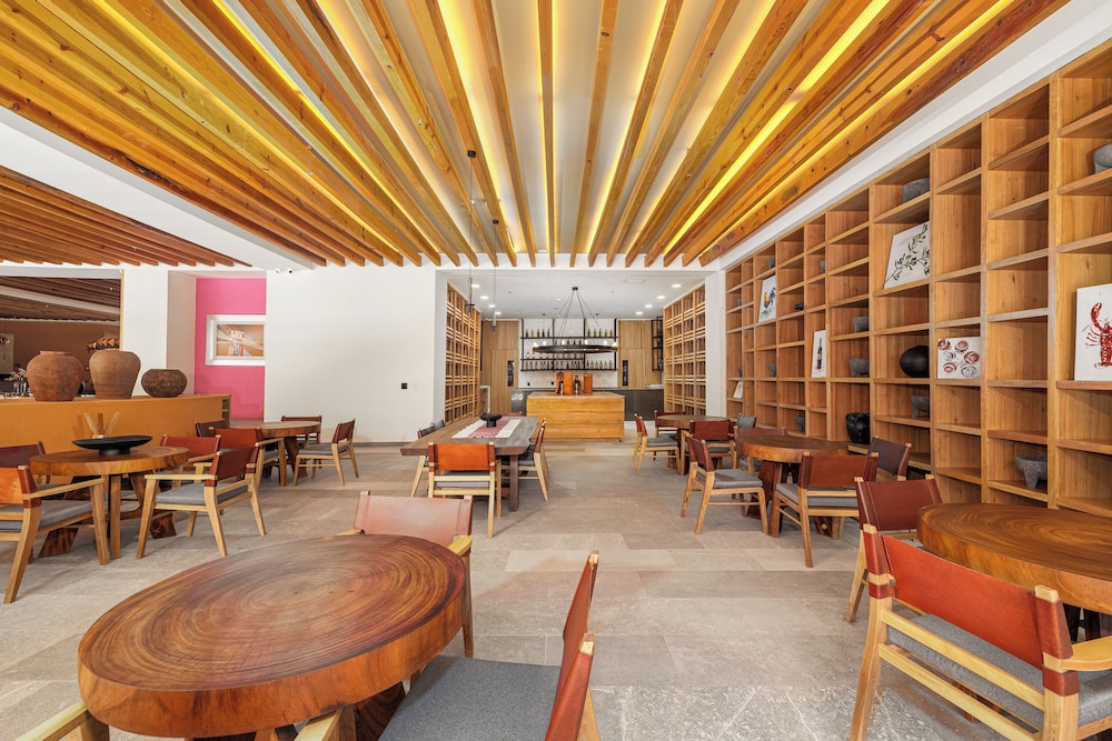 clevia san miguel de allende autograph collection