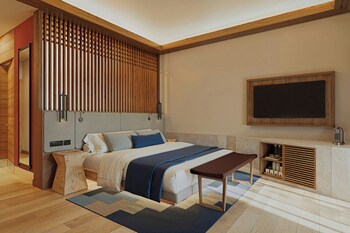 clevia san miguel de allende autograph collection