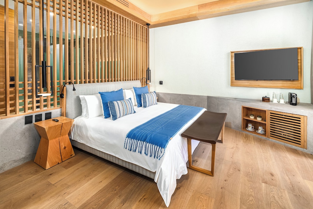 clevia san miguel de allende autograph collection