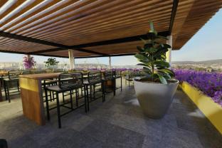 clevia san miguel de allende autograph collection