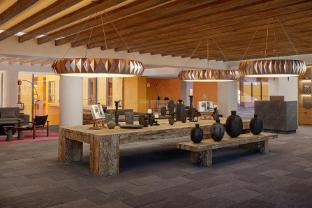 clevia san miguel de allende autograph collection