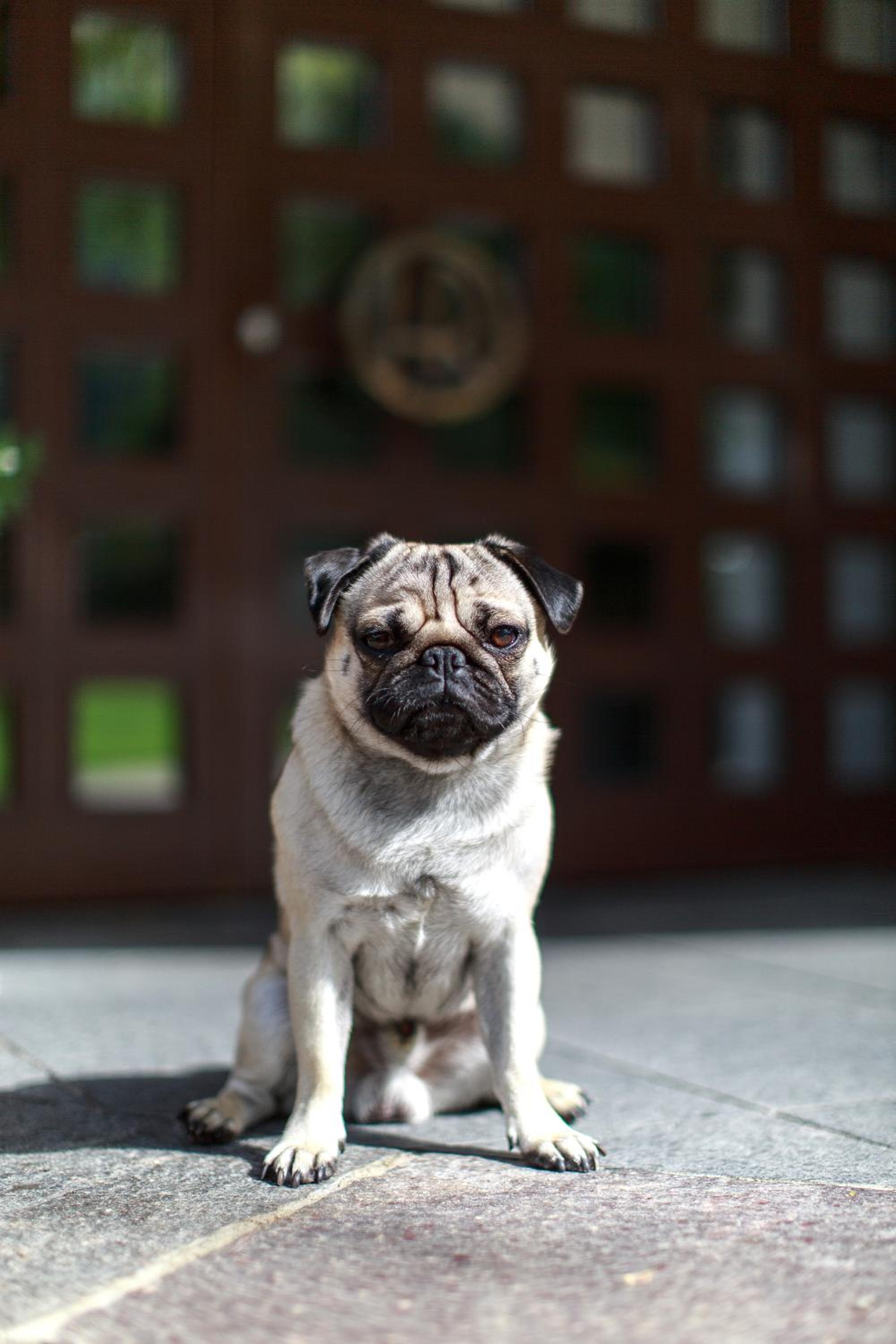 best western hotel roemerhof