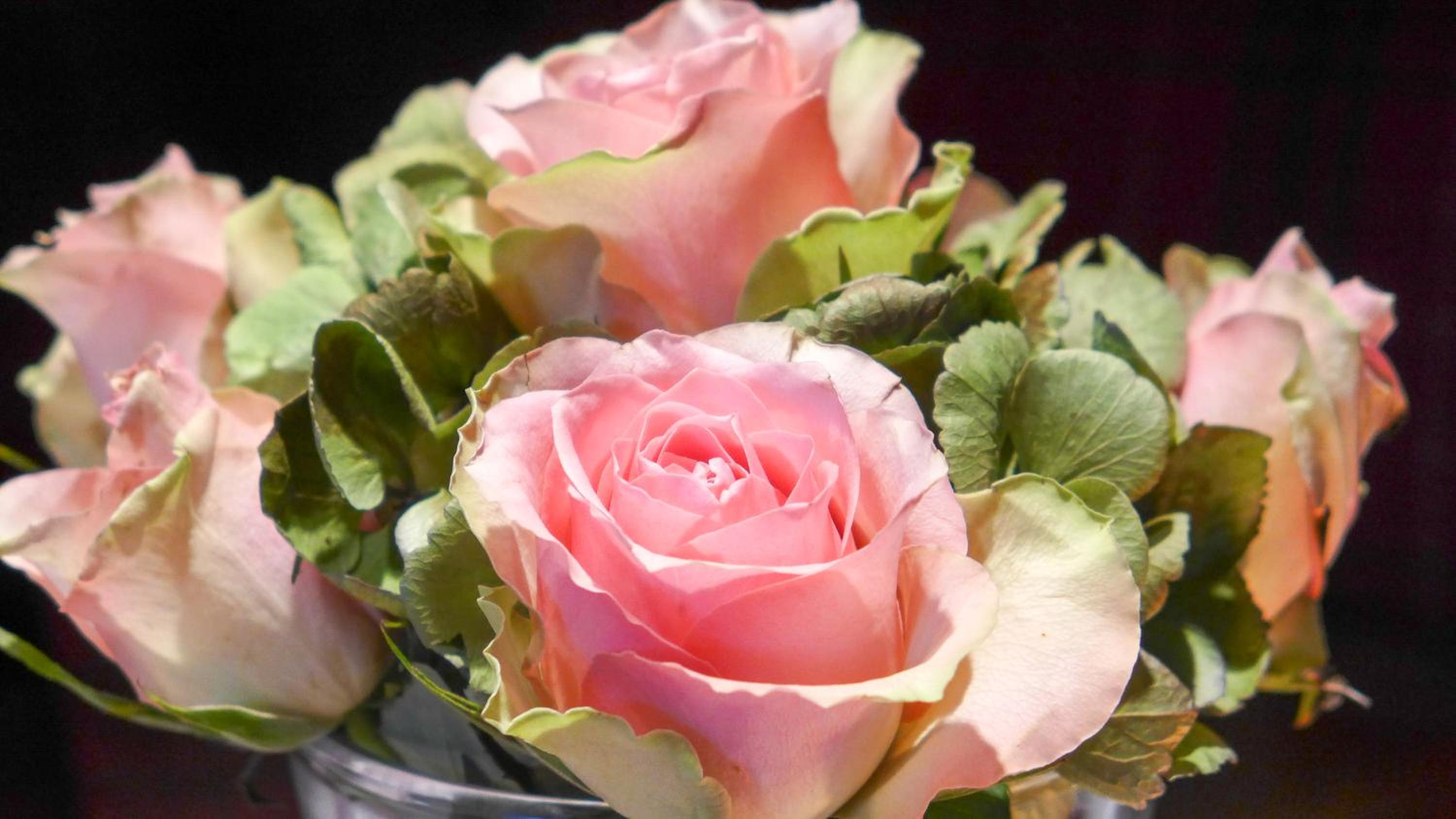 best western hotel roemerhof