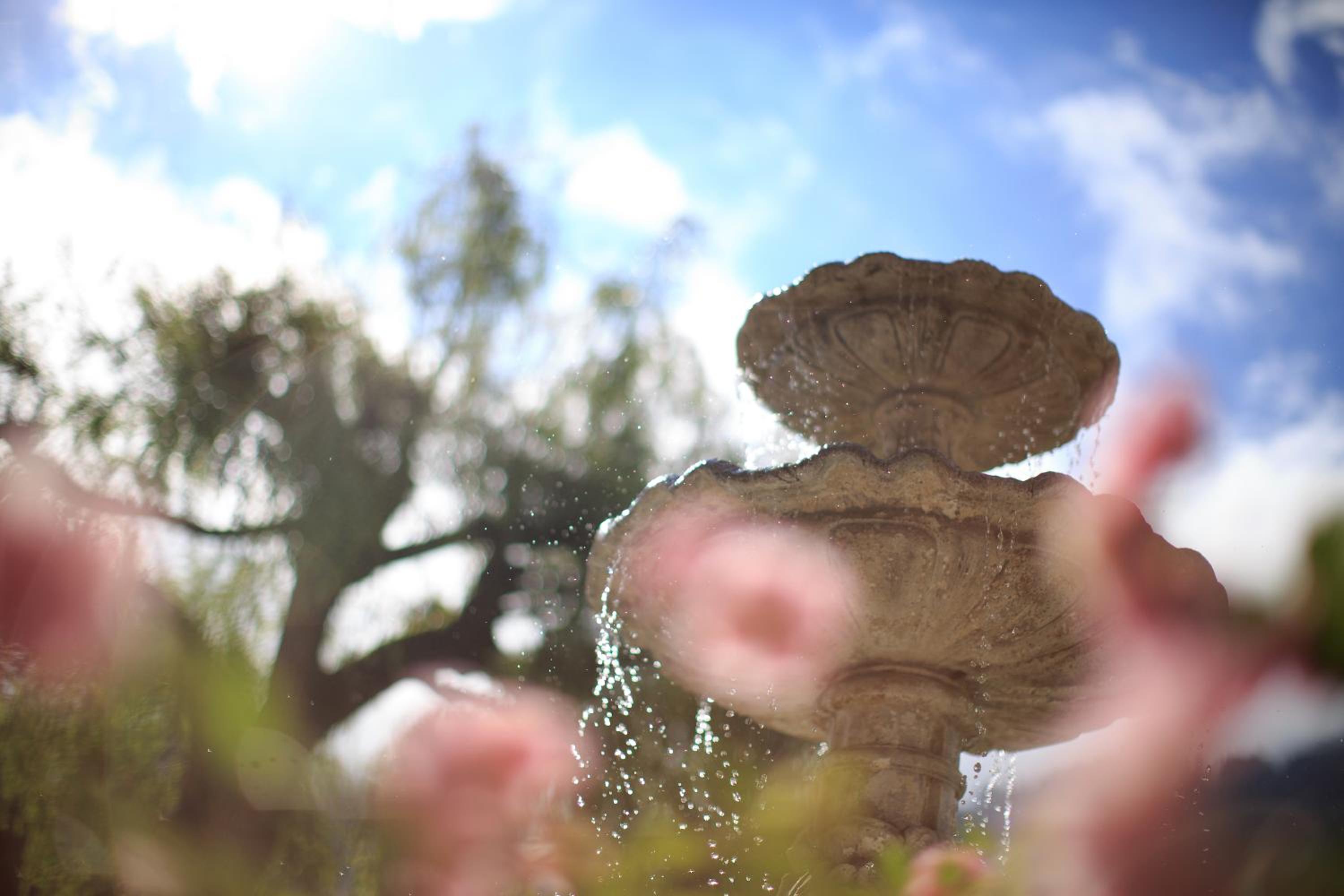 best western hotel roemerhof