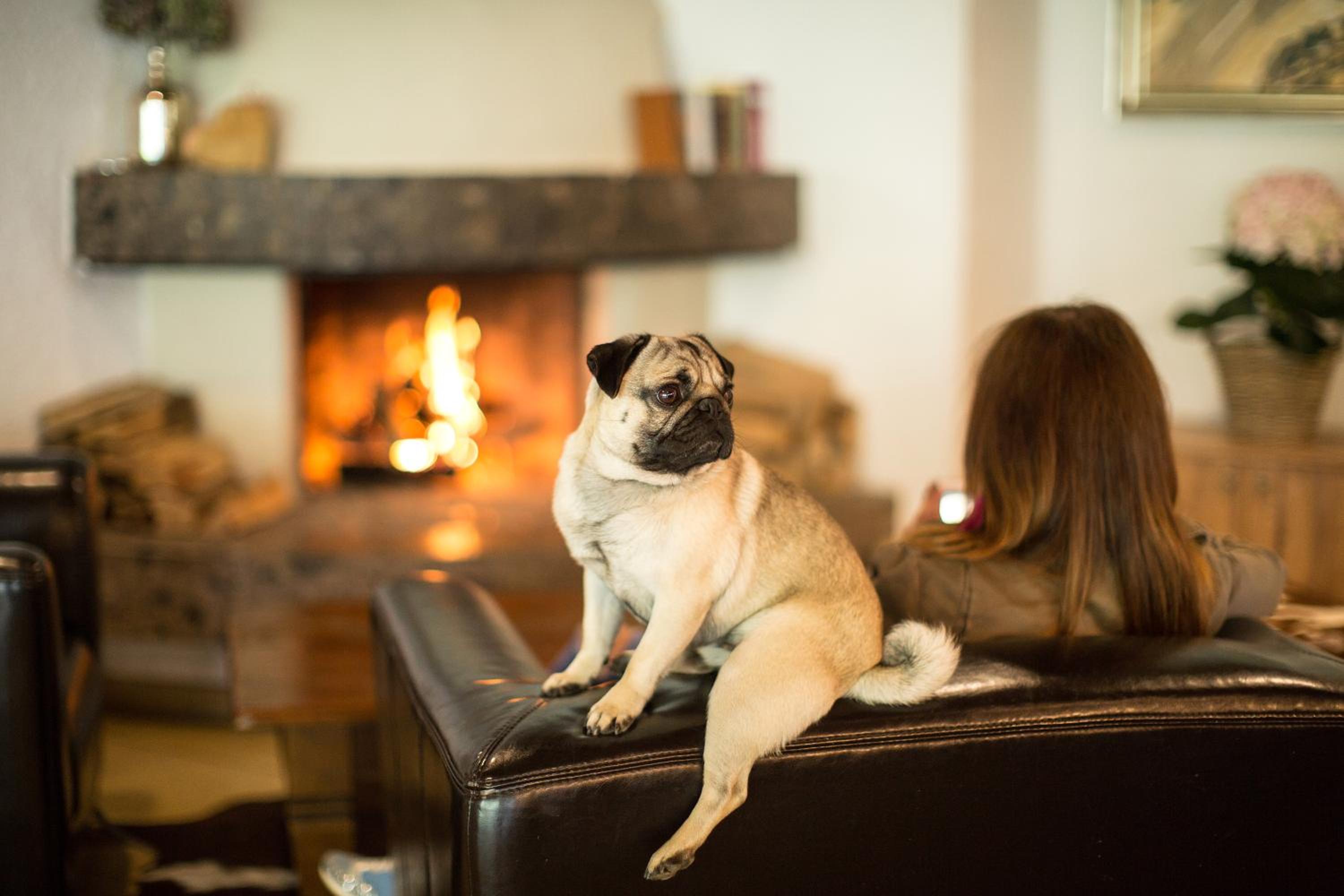 best western hotel roemerhof