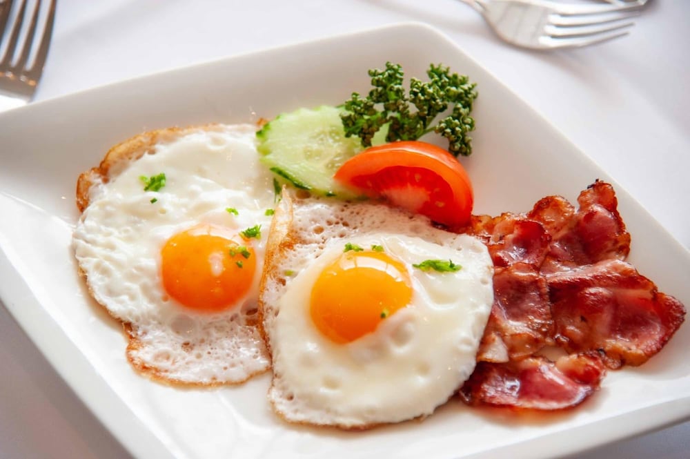 metropol hotel garni