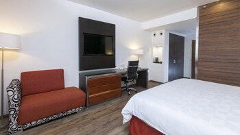 holiday inn mexico buenavista by ihg