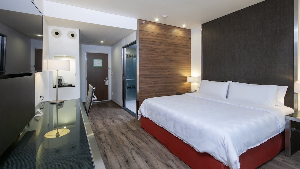 holiday inn mexico buenavista by ihg