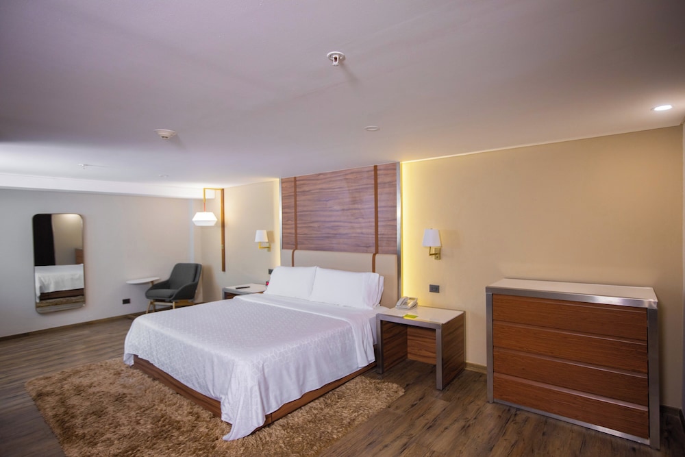 holiday inn mexico buenavista by ihg
