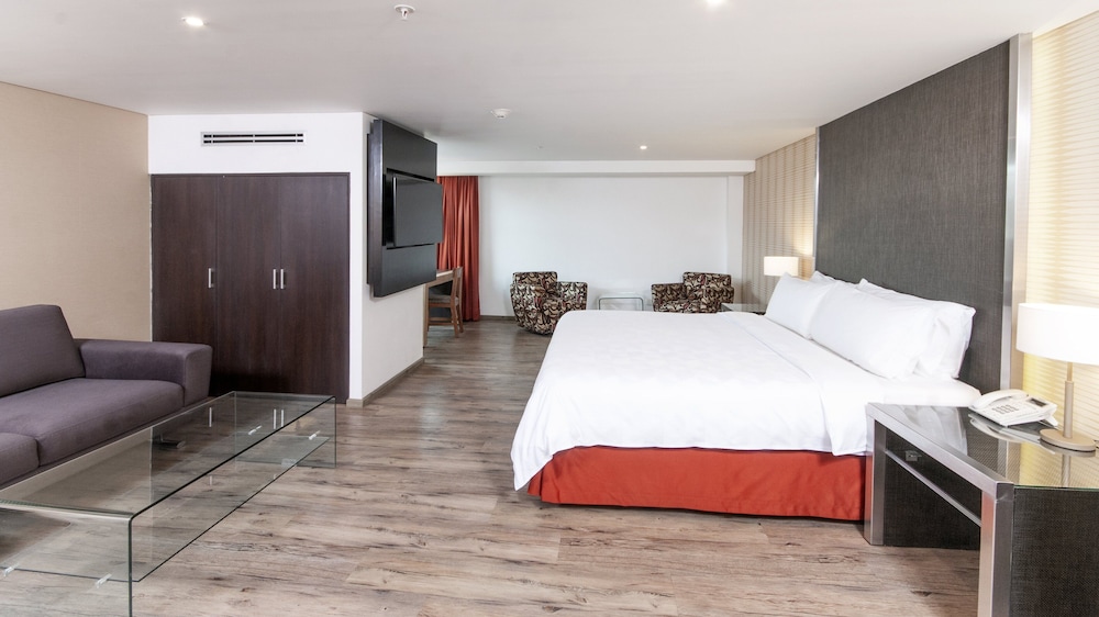 holiday inn mexico buenavista by ihg