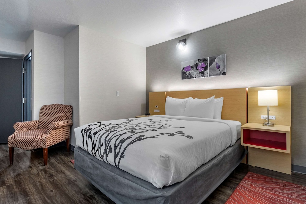 sleep inn and suites