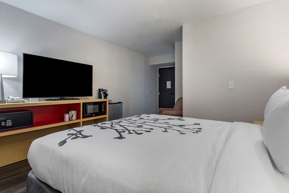 sleep inn and suites