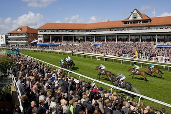 holiday inn express racecourse