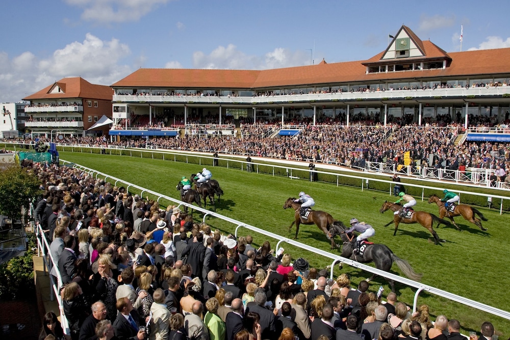 holiday inn express racecourse