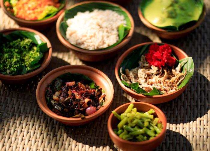 ayurveda spring of life resort