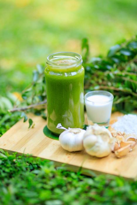 ayurveda spring of life resort