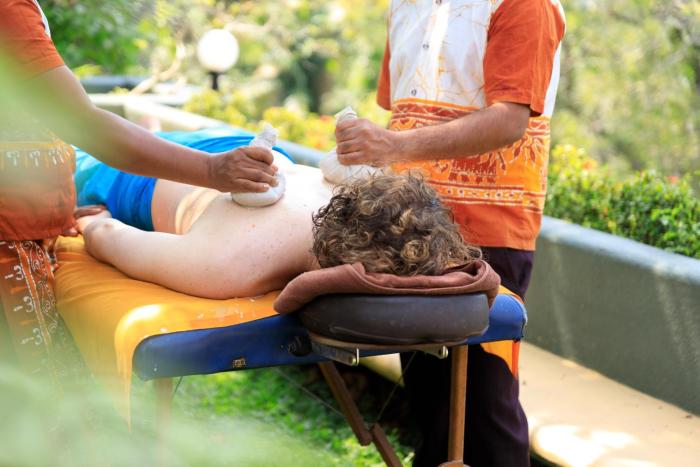 ayurveda spring of life resort