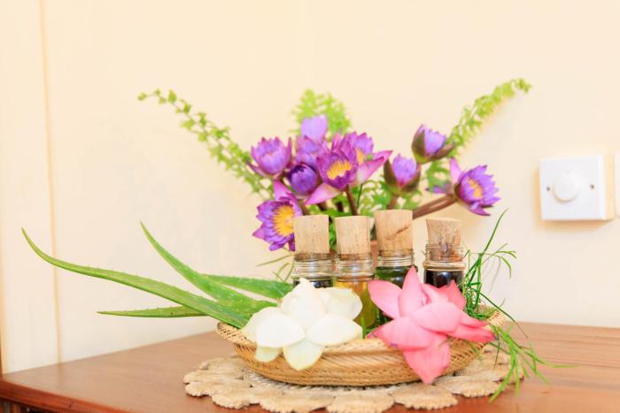 ayurveda spring of life resort