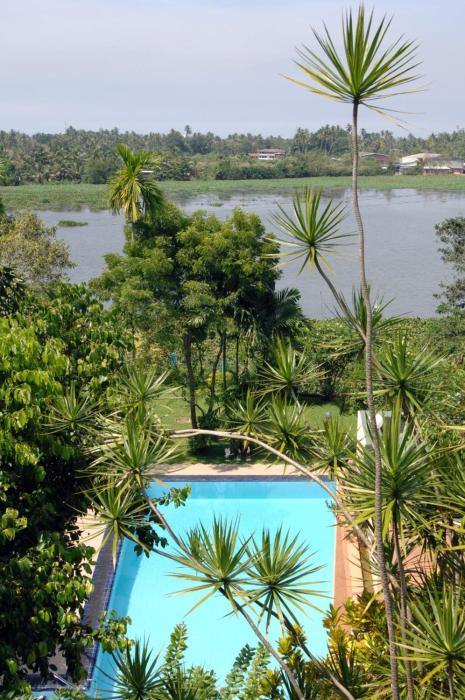 ayurveda spring of life resort