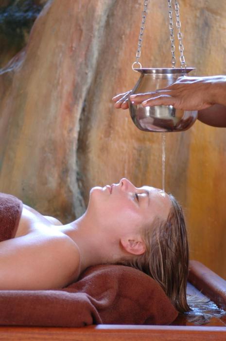 ayurveda spring of life resort