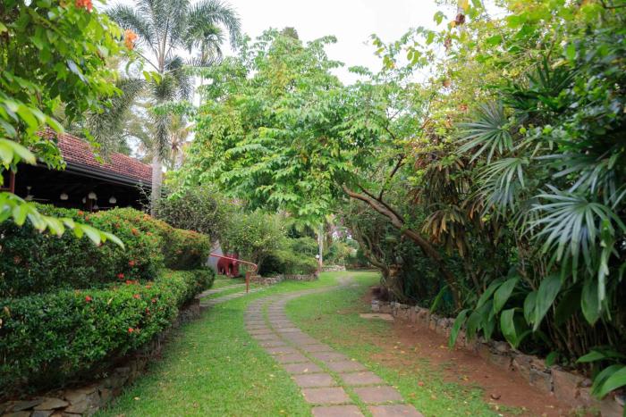 ayurveda spring of life resort