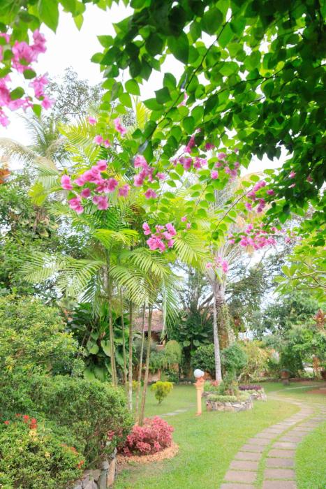 ayurveda spring of life resort