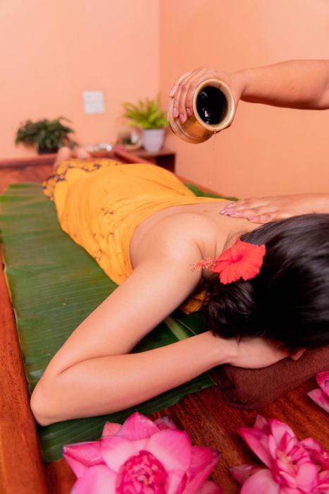ayurveda spring of life resort