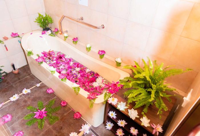 ayurveda spring of life resort