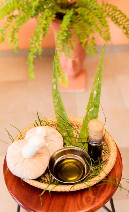 ayurveda spring of life resort