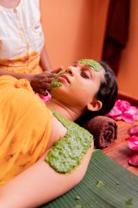 ayurveda spring of life resort